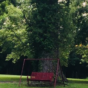 Meet your Posher, Cassie